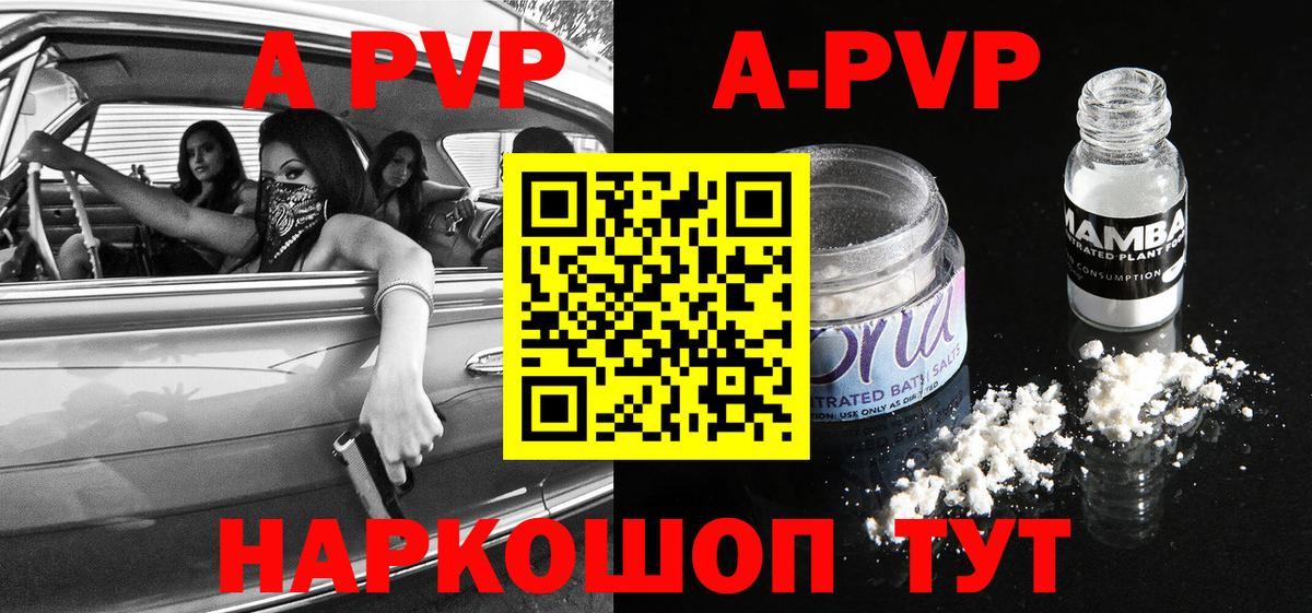 A-PVP СК КРИС Сыктывкар