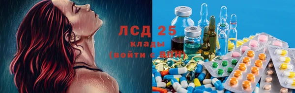 гидра Алексин