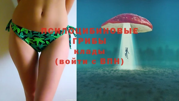 гидропоника Алексеевка