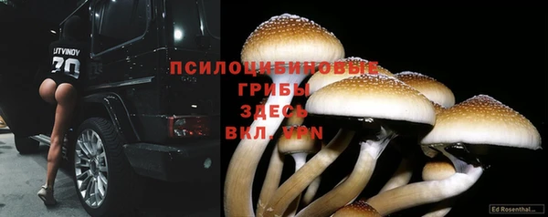 гидра Алексин