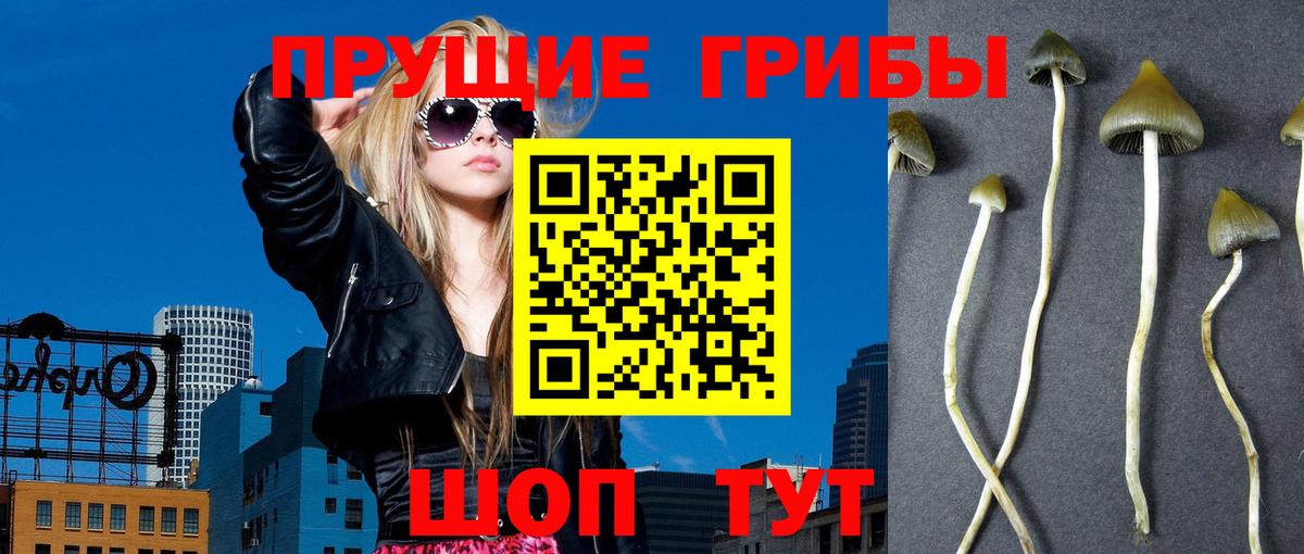Псилоцибиновые грибы GOLDEN TEACHER  Вход с VPN  Сыктывкар 